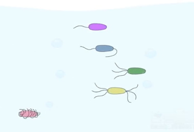 大(dà)學生物(wù)課程-1
