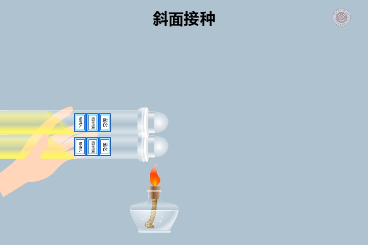 大(dà)學生物(wù)課程-2